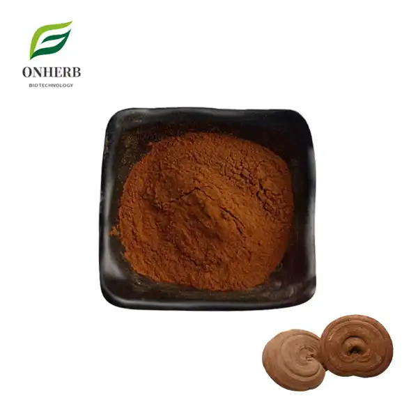 Reishi Mushroom Extract Powder